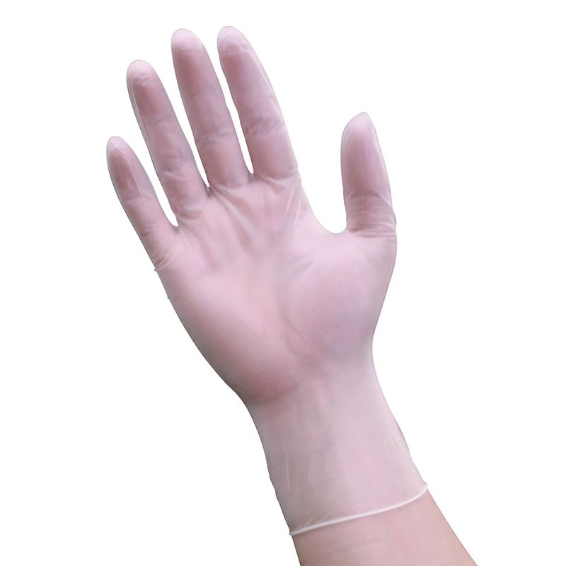 Powder Free Vinyl Examination Gloves