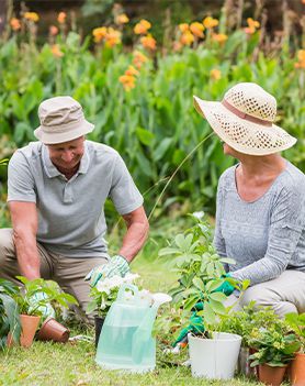 Garden Maintenance